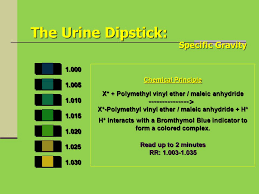 assistant professor of biochemistry ppt video online download