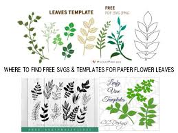 Rata trees are native to new zealand, and look very similar to the pohutukawa. Free Templates For Large Paper Flower Leaves