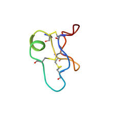 Image result for Chassalia parvifolia