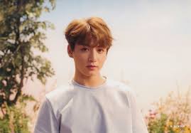 Jungkook Bts Jungkook Bts
