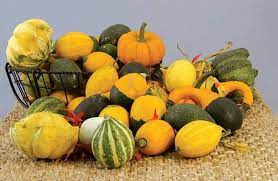 Goblin Egg Mix Holmes Seed Company Vegetables Gourds Seeds