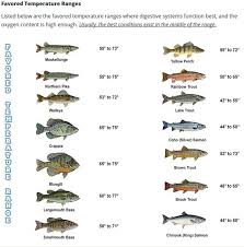 Why Water Temperature Plays A Role In Your Fishing Success