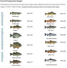 why water temperature plays a role in your fishing success