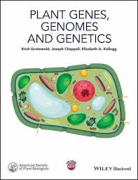 We did not find results for: Plant Genes Genomes And Genetics Ebook Pdf Von Erich Grotewold Joseph Chappell Elizabeth A Kellogg Portofrei Bei Bucher De