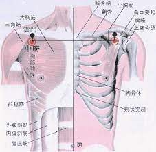 醫砭 經穴庫 500穴 中府