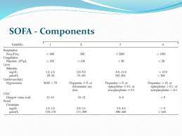 Sequential Organ Failure Assessment Sofa Score