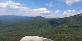 Injured Bear Hunter Successfully Rescued By Haywood County Team Asheville Com