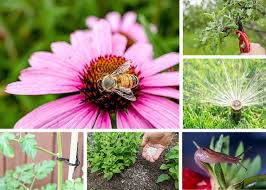 If the space will be left unplanted consider a cover crop that will stand up to your summer heat. Show Your Garden Some Love In July It Needs It This Month Heraldnet Com