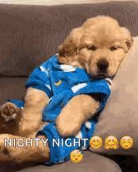The random vibez gets you the collection of the best and most funny good night meme for sharing on facebook and more. Good Night Gifs Tenor