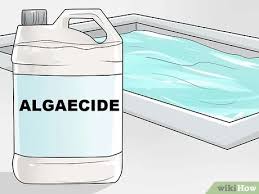 The algaecide has not had ample time to break down, therefore, causing it to foam and bubble at the surface. 3 Ways To Eliminate And Prevent Green Algae In A Swimming Pool