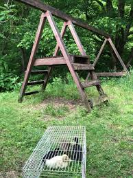Plans for constructing a single or double wood duck house. How To Convert A Swing Set Into A Chicken Coop Or Duck House Pethelpful