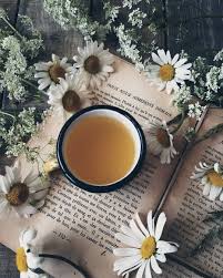 Roman chamomile and german chamomile. Fleur Aesthetic Instagram Pistache72
