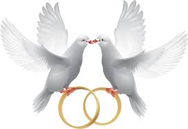 Check spelling or type a new query. 7 Ideas De Dibujos De Alianza Anillos De Boda Etiquetas Para Boda Anillos De Boda Entrelazados