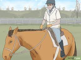 3 Ways To Be A Good Horse Rider - Wikihow Pet