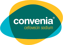 Check your cat to ensure that fluid injections are being adequately absorbed. Convenia Zoetis Petcare