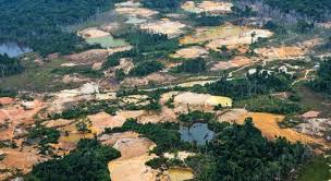 Yanomami es uno de los pueblos indígenas relativamente aislados más grandes de américa del sur. Schwerbewaffnete Goldgraber Attackieren Yanomami Indios In Ihrem Reservat Brasilienportal
