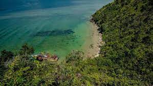 We did not find results for: Lompat Tebing Cara Terbaru Nikmati Keindahan Mandeh Di Pesisir Selatan Sumbar Lifestyle Liputan6 Com