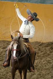 We did not find results for: Pin On Travel Mexico Lindo Y Querido