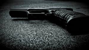 Best first handgun for home defense. Firearms Research The Gunfighter Scientific American