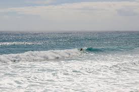 Hurricane Dorian took everything but hope from the Bahamas »Whalebone