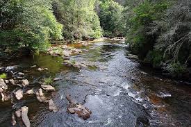 Dahlonega is the site of the first major u.s. 3 Reasons The Toccoa River Offers The Best Trout Fishing In North Georgia Mountain Country Realty Blue Ridge Ga Real Estate