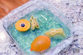 Maybe you would like to learn more about one of these? Plant Cell Model Researchparent Com