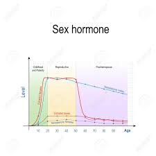 sex hormones and ageing levels of testosterone for males and