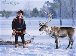 Image result for lapps