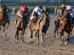 Kentucky derby 2021 horses photos is match and guidelines that suggested for you, for creativity about you search. Wanna Bet A Peek At The Current 2021 Kentucky Derby Contenders Horse Racing News