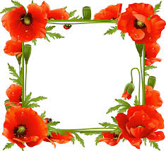 Fresh wind cute photo frame png free drawing. Download Poppy Flower Frame Png Image With No Background Pngkey Com