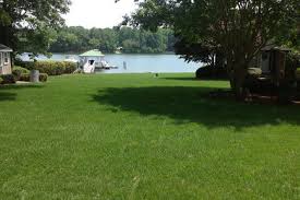Get a healthy, lifetime lawn! Super Sod Fort Valley Ga Us 31030 Houzz