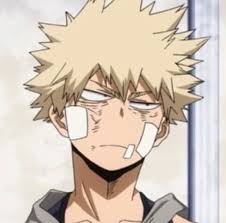 Image result for Bakugou