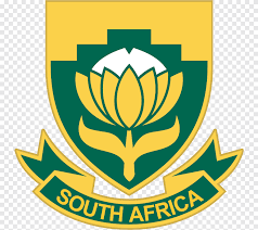 Afrique foot l'actu du foot en afrique. Equipe Nationale De Football D Afrique Du Sud Coupe Du Monde De La Fifa Thamsanqa Mkhize Sizwe Motaung Autres Divers D Autres Png Pngegg