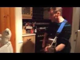 Birds Dancing To Music Funny Birds Dancing To Elvis Presley Youtube Funny Birds Funny Bird Pictures Cute Puppy Breeds