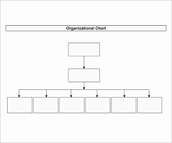 26 rational organizational structure chart template word