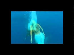 Real Mermaids Better Belive It Real Mermaids Fantasy Mermaids Mermaid Dreams