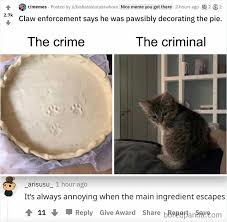 We review a few things that cause cat panting and when you should take a panting cat to the vet. 30 Times People Spotted A Cursed Comment And Shared It On This Online Group New Pics Bored Panda