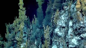 Image result for hydrothermal vent