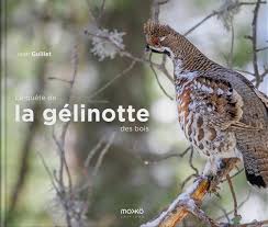 La quête de la gélinotte des bois