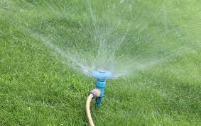 Otherwise, your new sod may wither and die, creating the perfect environment for invasive weeds to take root. The Perfect Guide To Maintaining Your New Sod Grass My Landscapers