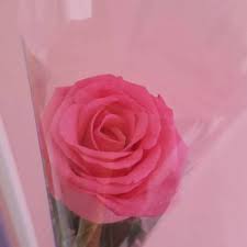 See more ideas about barbie, pink aesthetic, barbie girl. Mercuri Zen Cart Magento