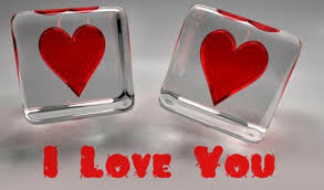 I Love You 5703983 Image For Free Magnificent Hqfx 35009 Hd Wallpaper Backgrounds Download And you would have downloaded too! itl cat