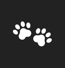 Paw Print Icon Dog Or Cat Pawprint Animal Paw Print Dog Paw Print Paw Wallpaper