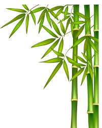 Download Free Png Bamboo Png Download Png Image With Transparent In 2020 Bamboo Art Leaf Wall Art Tree Wall Art