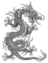 James Neely Asian Dragon Tattoo Dragon Sleeve Tattoos Dragon Tattoo Designs