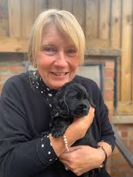 I've only gone and got s as puppy