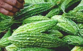 10 Cara Menanam Tanaman Obat Keluarga Dengan Mudah