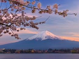 For The Japanese Mount Fuji Has Long Been The Ultimate Cherry Blossoms Mount Fuji And Kawaguchi Lake 1600 X 1200 Mount Fuji Japan Mount Fuji Japan Travel