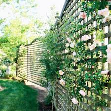 Gartenzaun Bau Sichtschutz Rosen Kletter Gitter Garten Gitterzaun Und Garten Und Outdoor