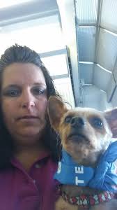 On Tuesday, April 14th, an Animal Control Officer brought a stray Yorkshire  Terrier into the shelter. The Yorkie was in fair condition, but was  straggly and weighed only 5 ½ pounds. Despite